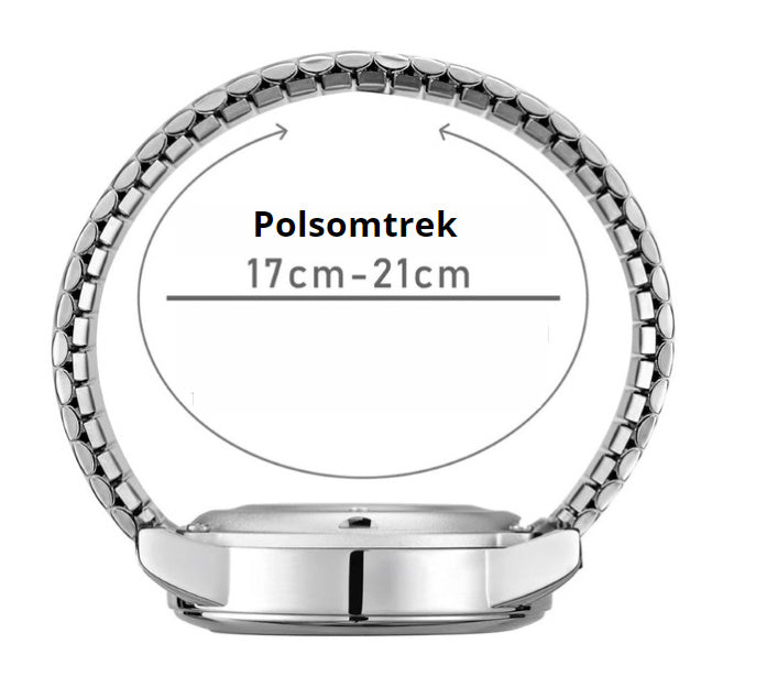 Nederlands Sprekend Horloge Deluxe Zilver - SH10